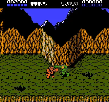 Battletoads (USA) screen shot game playing